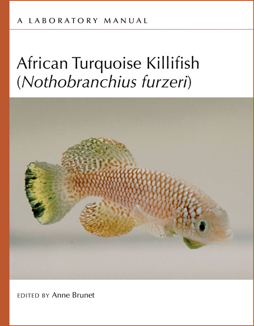 African Turquoise Killifish (Nothobranchius furzeri): A Laboratory Manual Cover Image