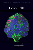 Germ Cells