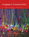 Imaging in Neuroscience: A Laboratory Manual