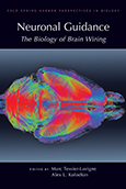 Neuronal Guidance: The Biology of Brain Wiring