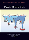 Protein Homeostasis