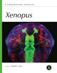 Xenopus: A Laboratory Manual